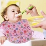 bib food catcher